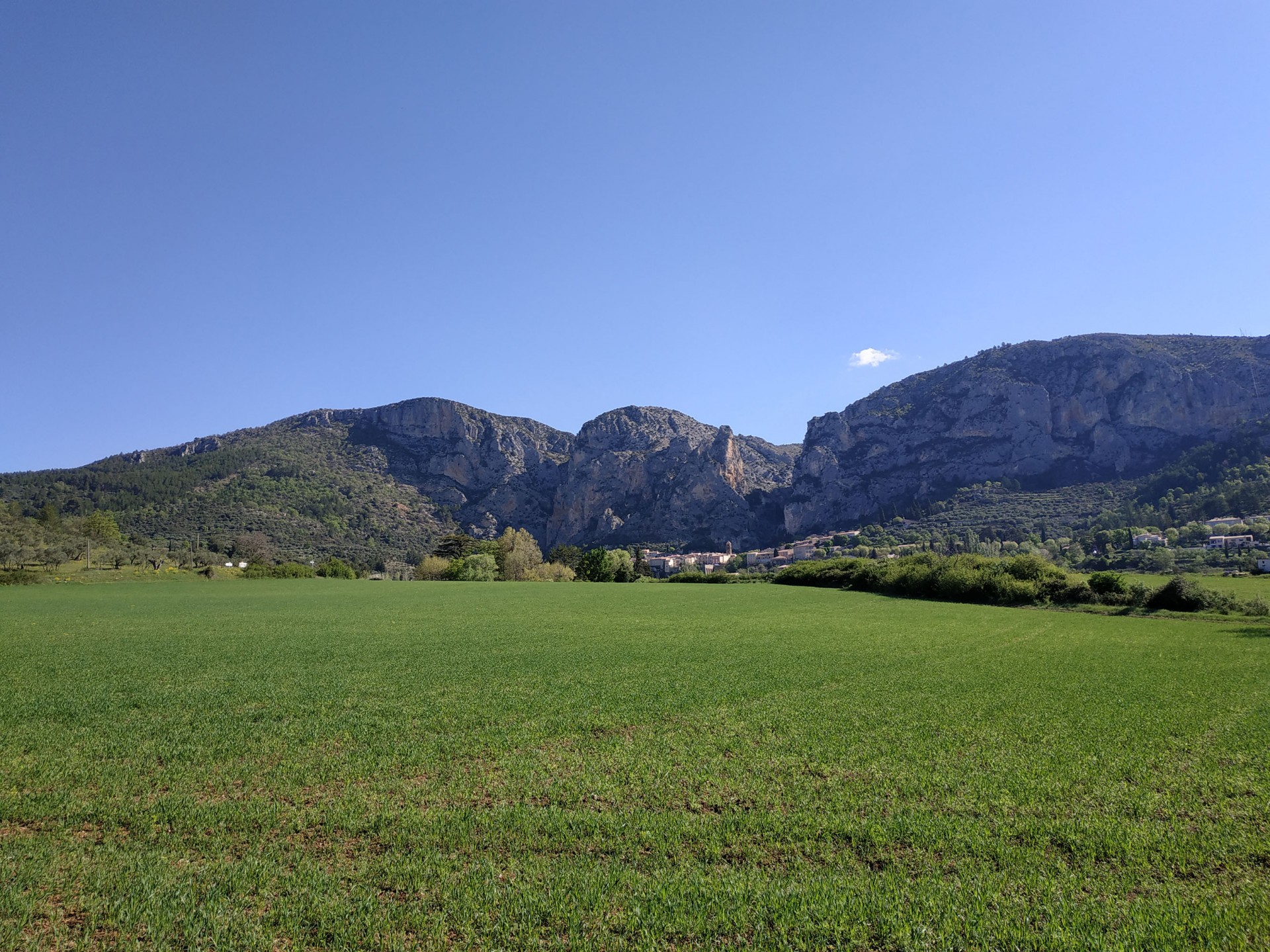 Campagne Peyrengue, Moustiers, Avril